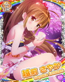 Thumb_[覚醒]【花より宴】越前さやか.jpg