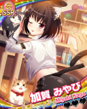 Thumb_【にゃんドル】加賀みやび.jpg